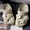 【Bone White Flowers】8 shoe buckles, variant on New shoe flower accessories, shoe flower decoration, three-dimensional decorative bone white flowers, pearl chain ornaments, DIY shoe buckles