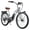 Step Through (Silver), variant on Young Electric E-Classic Cruiser Ebike - 58mi Range, 500W Motor, 26" Tires, 310 lbs