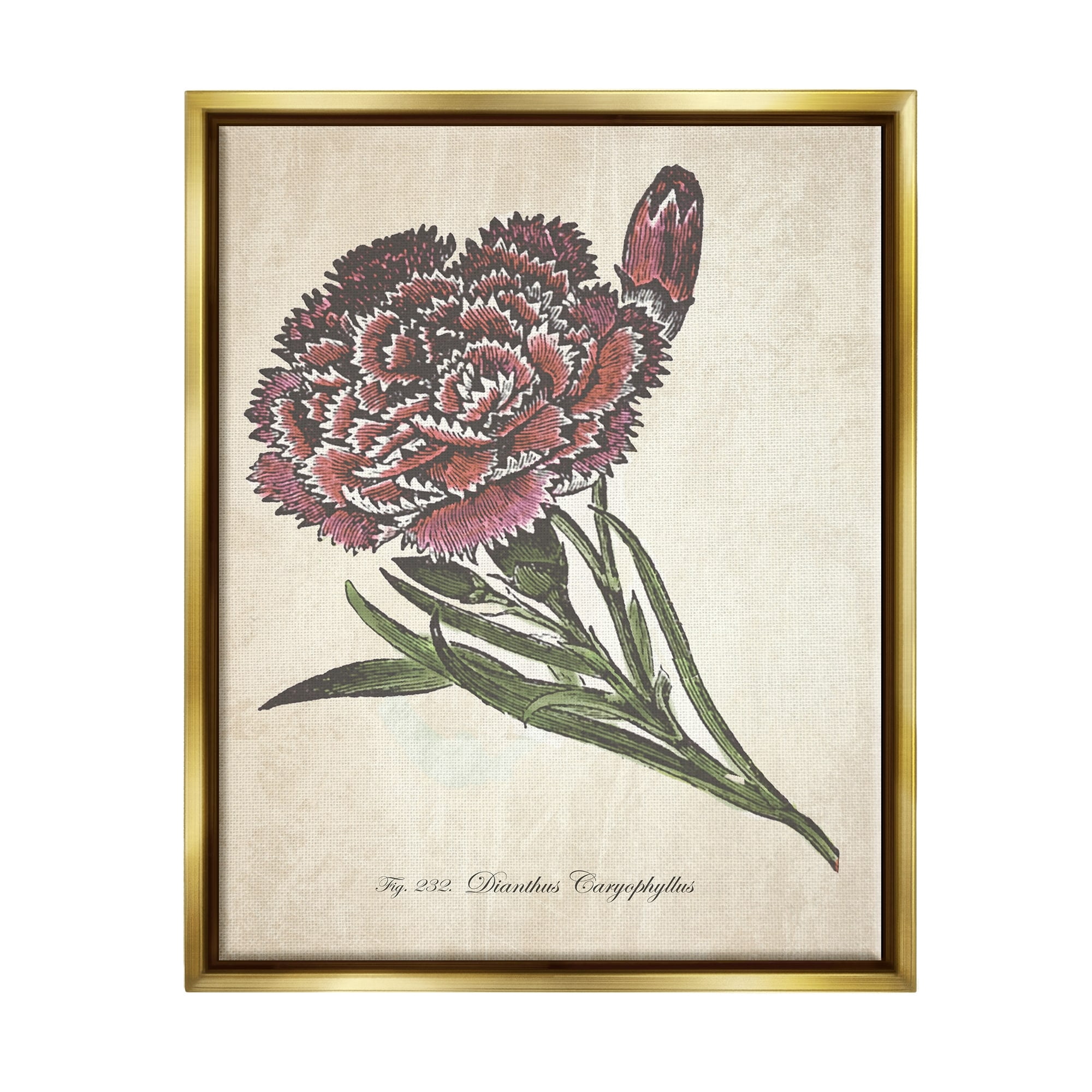 Stupell Industries Botanical Carnation Flower Drawing Red Green Design Metallic Gold Framed Floating Canvas Wall Art, 16x20, by The Saturday Evening Post