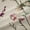 Beige Pink 1190, variant on jejeloiu Colorful Cute Flower Blackout Curtains Set of 2 (52x84 Each),Chic Kawaii Butterfly Window Curtains,Plant Floral Leaves Curtains and Drapes For Girls Kids,Microfiber Room Decoration