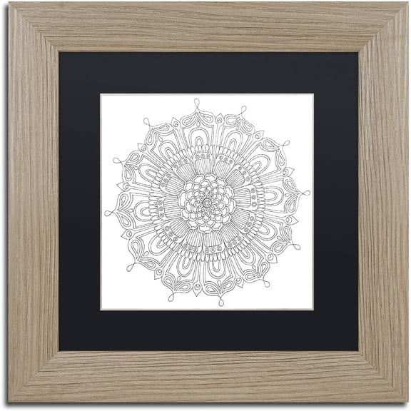 Trademark Fine Art "Big Beautiful Blossoms 15" Canvas Art by Hello Angel, Black Matte, Birch Frame