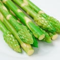 thumbnail image 5 of Cheers US 5Pcs Artificial High Simulation Asparagus Asgus Display Artificial Simulation Asparagus Model,Fake Vegetable Fruit Ornament, Shop Display, Cabinet Kitchen Home Decoration, 5 of 7