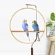 thumbnail image 4 of Columpio para aves, juguete interactivo, área de juego, soporte de entrenamiento, jaula espaciosa, 4 of 8