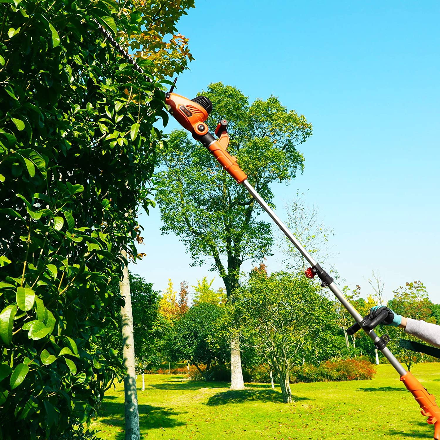 GARCARE 2 in 1 Electric Hedge Trimmer Corded 4.8 Amp Pole Hedge