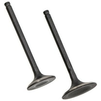 Niche Cylinder Intake Exhaust Valve for Honda Rancher TRX350 14711-HN5 ATV 519-KVL2225V
