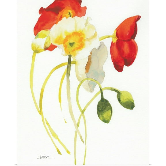 Great BIG Canvas | Rolled Shirley Novak Poster Print entitled Red and White Icelands I