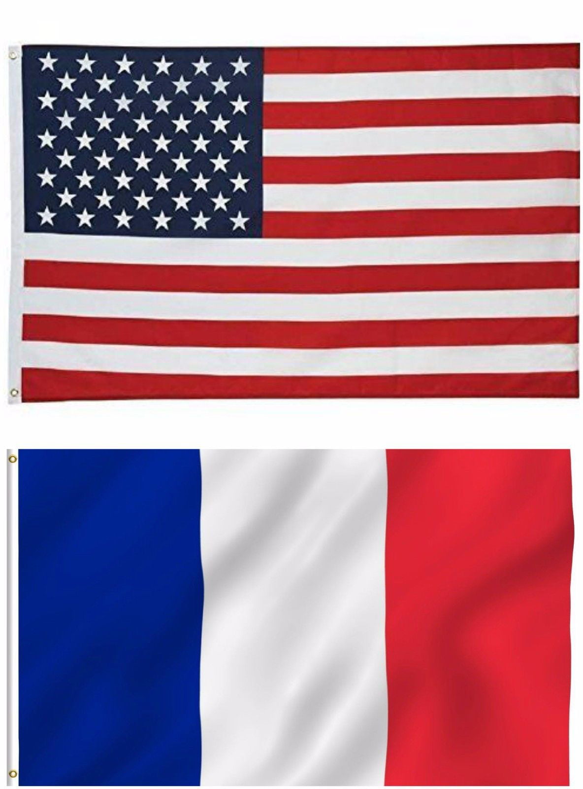 France French Paris 3' x 5' Nylon Flag Sewn Stripes 