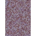 thumbnail image 1 of Ahgly Company Tapis Rectangulaire d'Intérieur Lavable en Machine Lavande Violet Transitionnel, 8 Pieds x 10 Pieds, 1 of 7