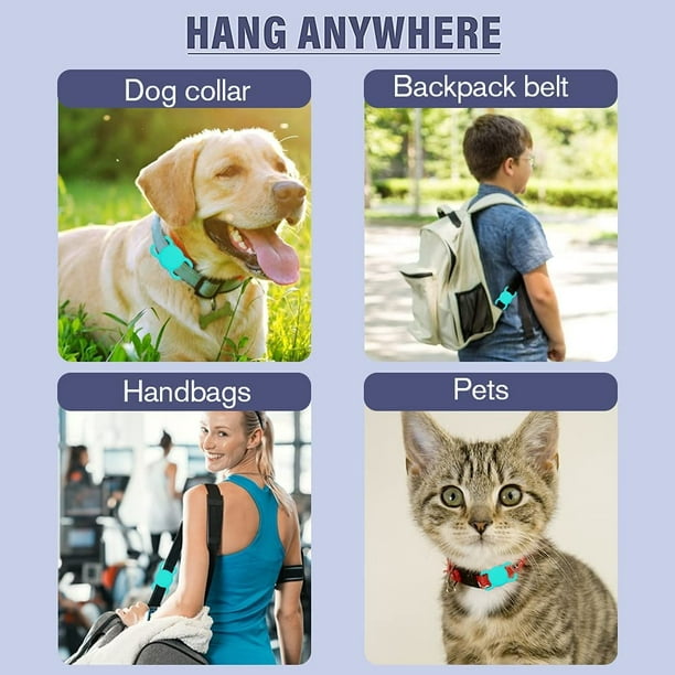 Étui Airtag pour collier pour chiens / chats - Étuis Airtag pour animaux de  compagnie