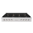 thumbnail image 2 of ZLINE 48 in. Paramount Gas Rangetop with 8 Brass Burners and Porcelain Cooktop in Stainless Steel (SRT-BR-48), 2 of 2