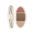 thumbnail image 1 of WREESH High Gloss Repairing Pan Glitter Matte Nose Shadow Shadow Blush Makeup, 1 of 2