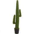 thumbnail image 2 of Nearly Natural 4.5' Plastic Cactus Artificial Plant, Green, 2 of 2