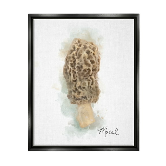 Stupell Industries Abstract Morel Mushroom Botanical & Floral Painting Black Floater Framed Canvas Art Print Wall Art, 17 x 21