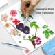thumbnail image 4 of 60 flores de pensamiento de resina seca blanca, flores de pensamiento naturales joyería vela tarjeta jabón haciendo álbum de recortes DIY, 4 of 5