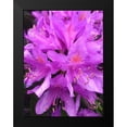 thumbnail image 2 of Grayscale 15x18 Black Modern Framed Museum Art Print Titled - Purple Cluster I, 2 of 5