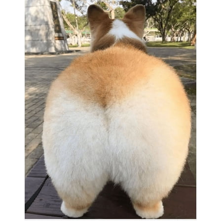 Fuel Filters 68157291AA and 68436631AA for a 2019-2024 Ram Truck 6.7L