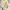 Vivid White/Yolk, variant on Free Assembly Women's Lemon Cotton Coverup Shorts, Sizes XXS-XXL