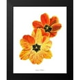 thumbnail image 2 of Popp, Grace 20x24 Black Modern Framed Museum Art Print Titled - Olives Tulips II, 2 of 5