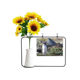 thumbnail image 1 of Spheniscidaepicture Stand sur de pingüino Tarjeta de bendición de jarrón de girasol artificial, 1 of 3