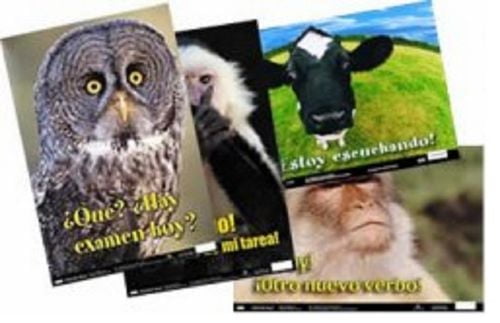 Poster Pals Spanish Fun Posters Set