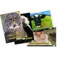 thumbnail image 1 of Poster Pals Spanish Fun Posters Set, 1 of 1