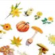 thumbnail image 3 of 100 pegatinas de flores naturales para álbumes de recortes, diseño retro, plantas, flores, pegatinas de pegado automático, pegatinas decorativas para álbumes de recortes, fundas para, 3 of 8