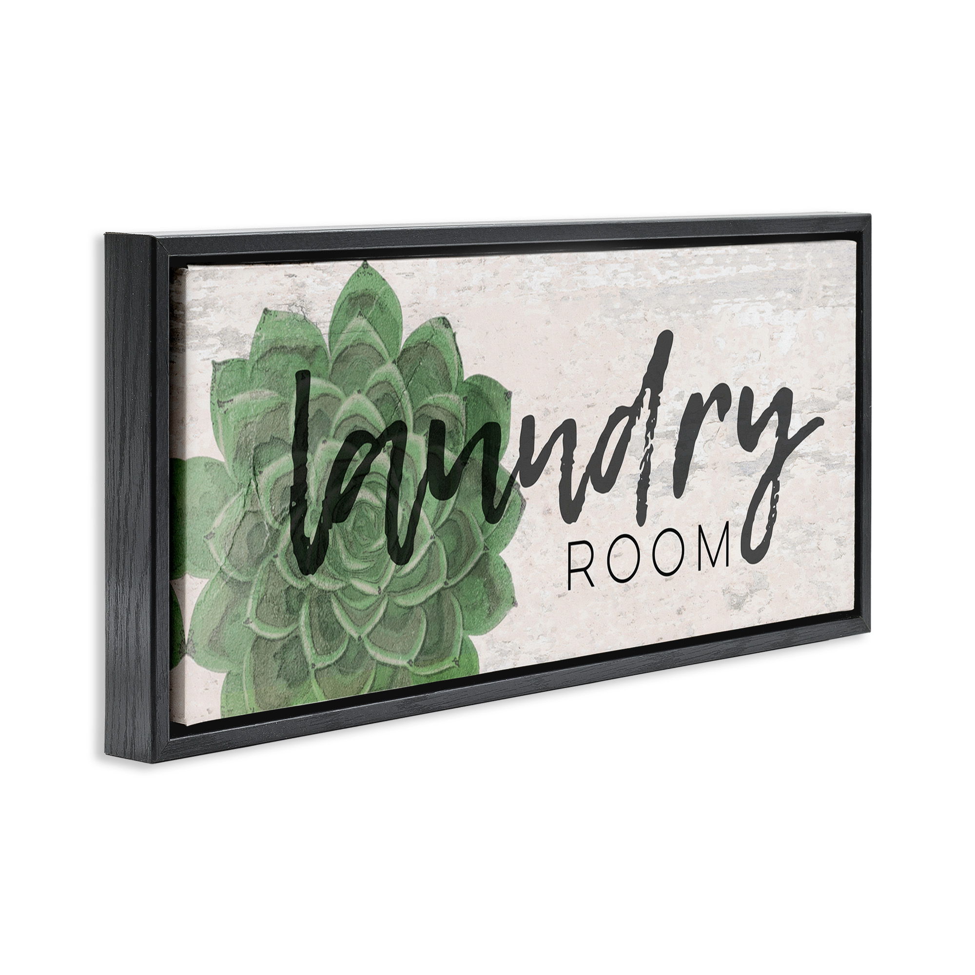 Stupell Industries Laundry Room Green Succulent Botanical & Floral Painting Black Floater Framed Canvas Art Print Wall Art, 31 x 14