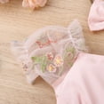 thumbnail image 3 of IBTOM CASTLE Newborn Toddler Baby Girls Fall Outfit Butterfly Romper Princess Dress with Headband 1st Birthday Cake Smash Clothes for Photo Shoot 6-12 Months Pink Flower, 3 of 8