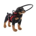 thumbnail image 4 of Dispositif de Guidage pour Chien Aveugle, Anneau de Protection Réglable pour Chien Malvoyant Intérieur Extérieur, 4 of 7