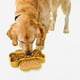 thumbnail image 4 of Comederos Lentos Para Perros Dispensador De Comida Con Ventosa Entrenador Para Perros Mayores Juguete De Estimulación Mental Para Lamer Aburrimiento Comida Para Mascotas En Interiores Y Exteriores, 4 of 6