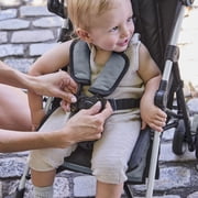 Ingenuity 3Dmini Lightweight Convenience Stroller, Slate, Compact Fold, Baby Stroller