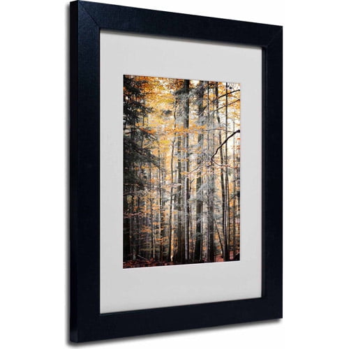 Trademark Fine Art "Autumn Tones" Canvas Art by Philippe Sainte-Laudy, Black Frame