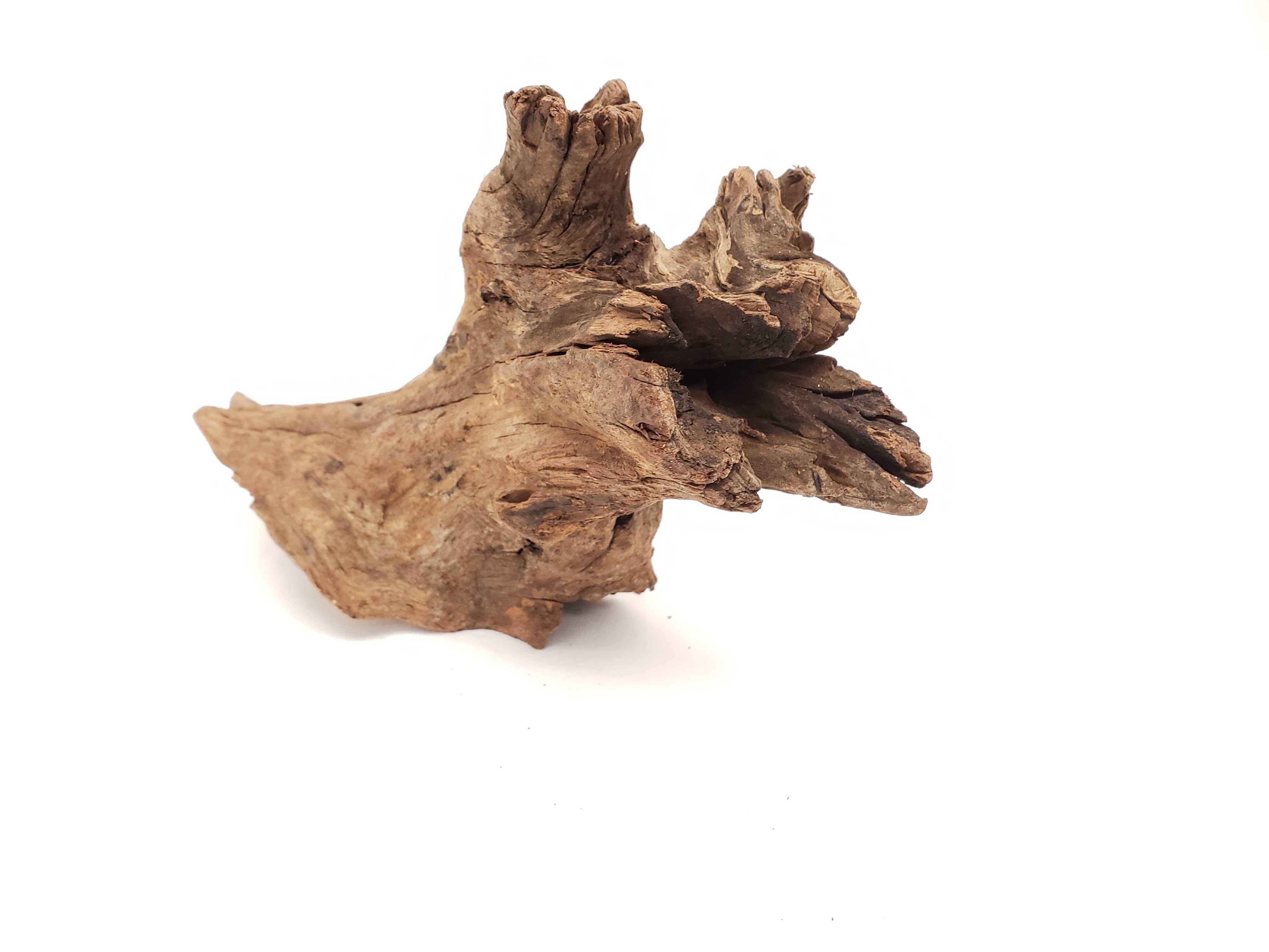 Drift Wood 5 Pice Pack -Approximate Size 4"-8" each