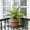 Green-Free Size/D, variant on Artificial Greenery Wall Decor 17.72In Realistic Foliage Texture Zero Upkeep Non Fading Shape Retention Profile for Living Room Table Hallway Store Easter Indoor Outdoor Vase Matching Home Decor