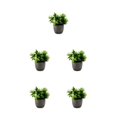 thumbnail image 1 of Decodeary Green Eco-friendly Artificial Money Tree In Pot Long-lasting Durability Realistic Appearance new whitebabysbreath 5Set, 1 of 6
