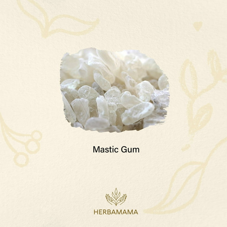 Mastic Gum Supplement - 100 Capsules – Herbamama