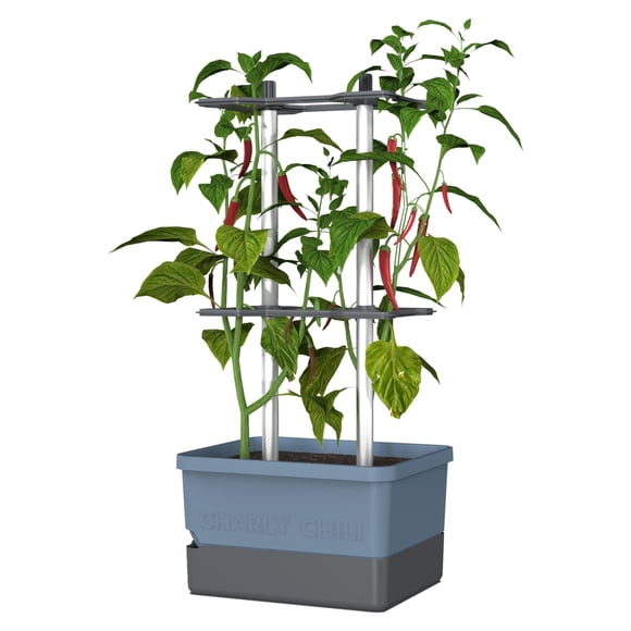 Maceta BUZZY Charly Chili con riego automático de 4,5 L, vertical
