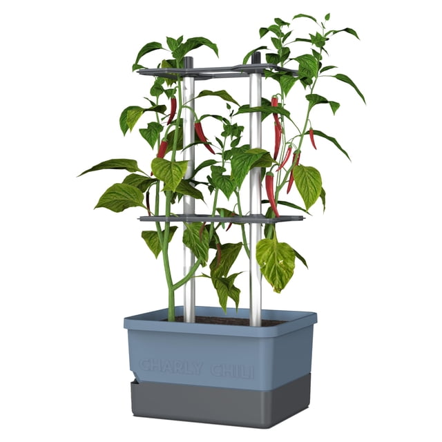Maceta BUZZY Charly Chili con riego automático de 4,5 L, vertical