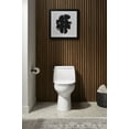 thumbnail image 4 of Kohler 30810-96 1.28 GPF Santa Rosa Compact Elongated Toilet with Revolution 360 Swirl Flushing Technology - Biscuit, 4 of 4