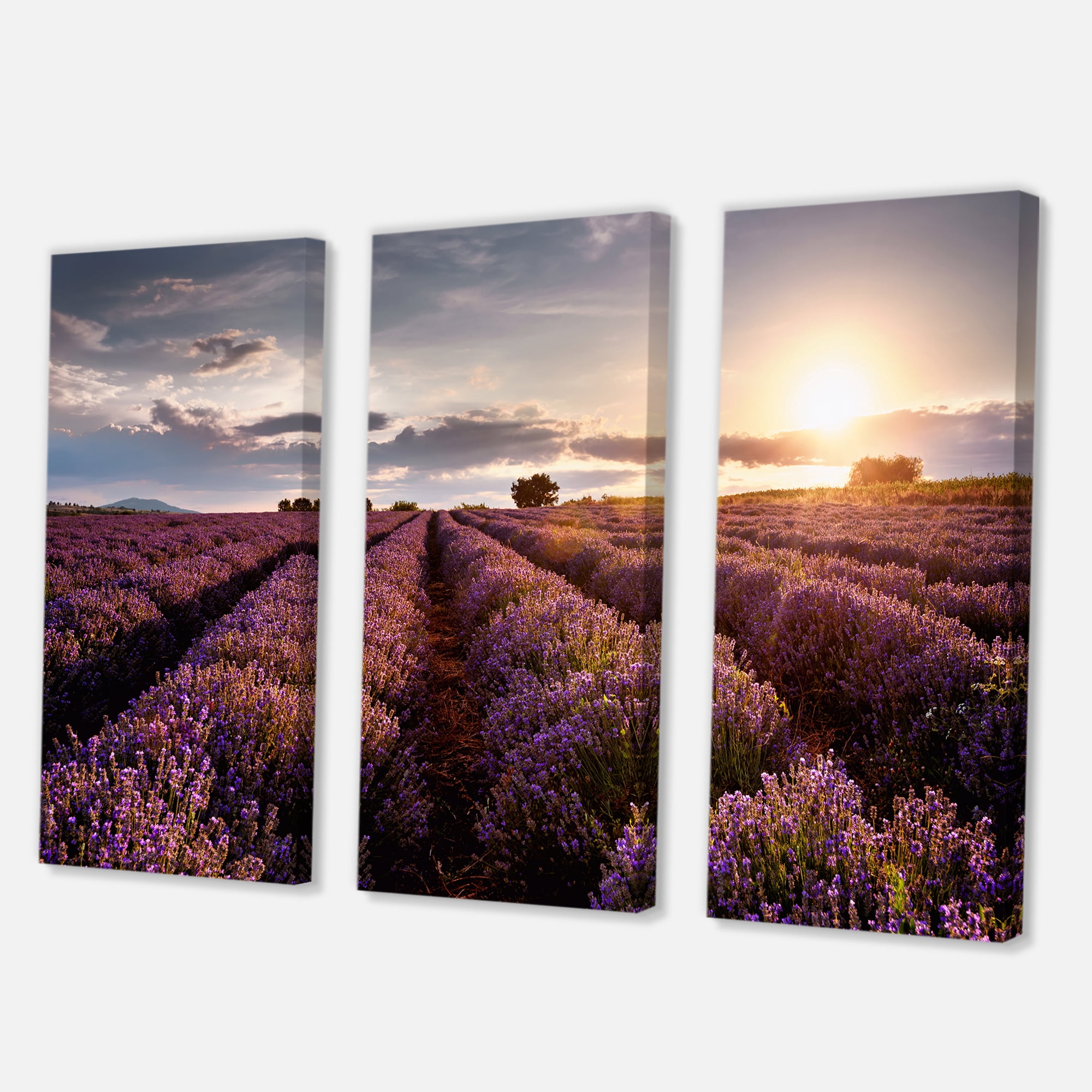 Dramatic Clouds and Sunrise Over Lavender Field V 28 in x 36 in Photography Canvas Art Print, by Designart