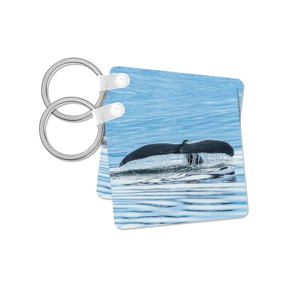 3dRose, USA, Alaska, Tongass National Forest. Humpback whale diving., set of 2 Key Chains