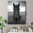 thumbnail image 4 of Qisvanset 12x16 Inch Black White Wild Horse Panoramic Canvas Wall Art, Equine Scenery Art for Living Room Decor, 4 of 8