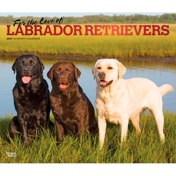 For the Love of Labrador Retrievers 2027 14x24" (Hanging) Calendar | Plastic-Free