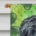 thumbnail image 3 of Carolines Treasures BB9851CHF Black Russian Terrier St Patricks Flag Canvas House Size  Large multicolor, 3 of 4