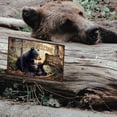 thumbnail image 2 of 1pc Vintage Metal Tin Sign Iron Wall Decor for Bars Restaurants Cafe Pubs Rectangle Bear 200x300x2.2mm, 2 of 7