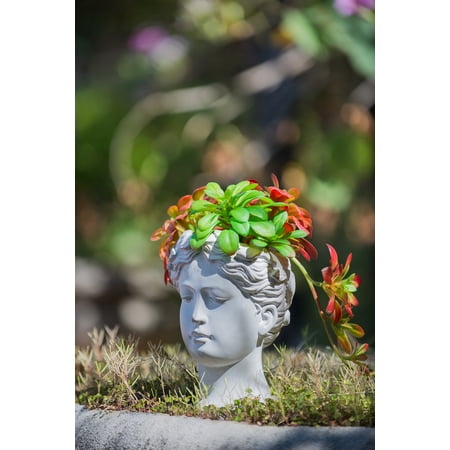 Greek Style Cement Head Planter - Indoor Outdoor Home Garden Decor, D6" x 9"