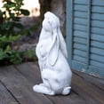 thumbnail image 2 of CTW Home Collection Gazing Hare Garden Statue, 15-inch Height, 2 of 2