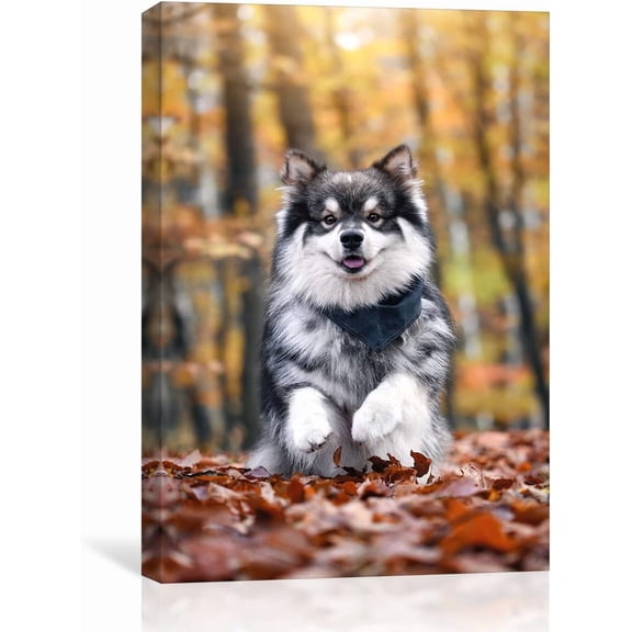 Personalized Custom Canvas Prints Photo On Canvas w/Framed Transform Your Photos Wall Art Printed Photo