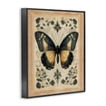 thumbnail image 2 of Stupell Industries Cottage Vintage Butterfly Botanical Illustration Black Framed Giclee Art, 11 x 14, by Arlington Prints, 2 of 8