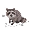 thumbnail image 7 of Hi-Line Gift 87988-B Raccoon Sitting Statue, 7 of 7